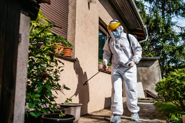 Bird Control in Nissequogue, NY