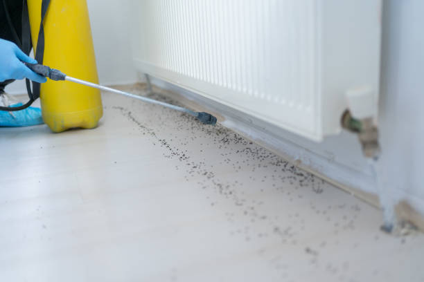 Best Pest Prevention Services  in Nissequogue, NY
