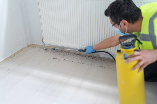 Best Mosquito Control Services  in Nissequogue, NY
